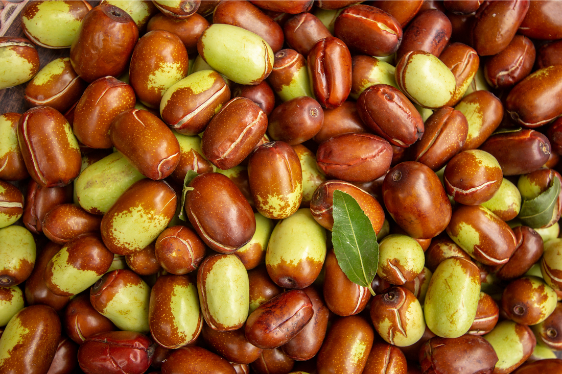 a close up of jojoba seeds