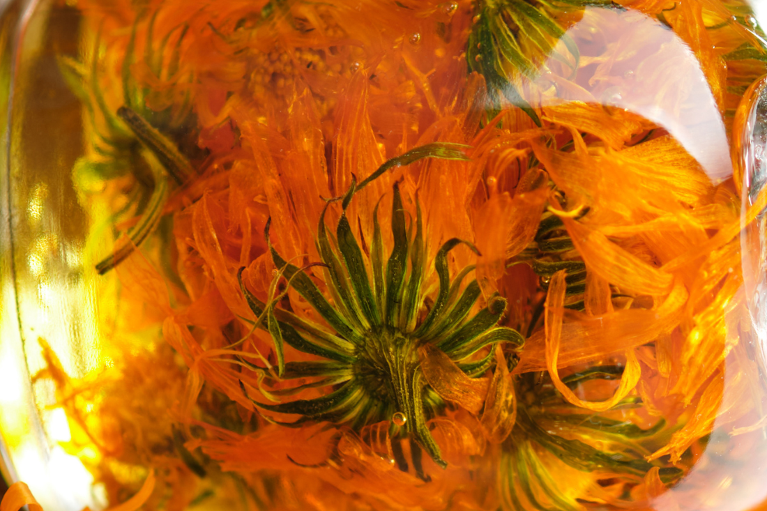Infused Calendula Oil