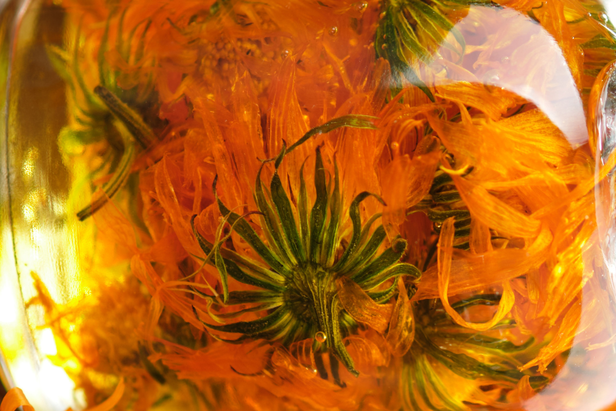 Infused Calendula Oil