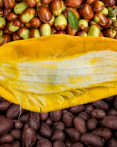 Body Butter Unscented