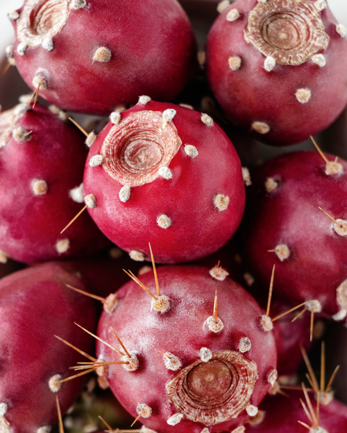 Desert Bloom Oil Gloss